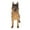 Jaune Clair, variante sur HILABEE Jouets Modèles d'Animaux Chien Chiot Figurines de Simulation Collection Décoration Jouet Artisanal Jaune Pâle