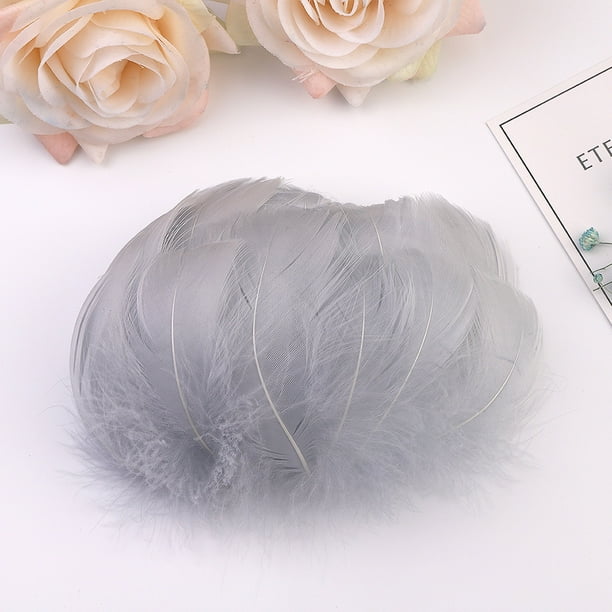 onlyliua Liquidación 100 Plumas En Color 6 a 12 Cm En Pequeñas Plumas para Decoración Diy