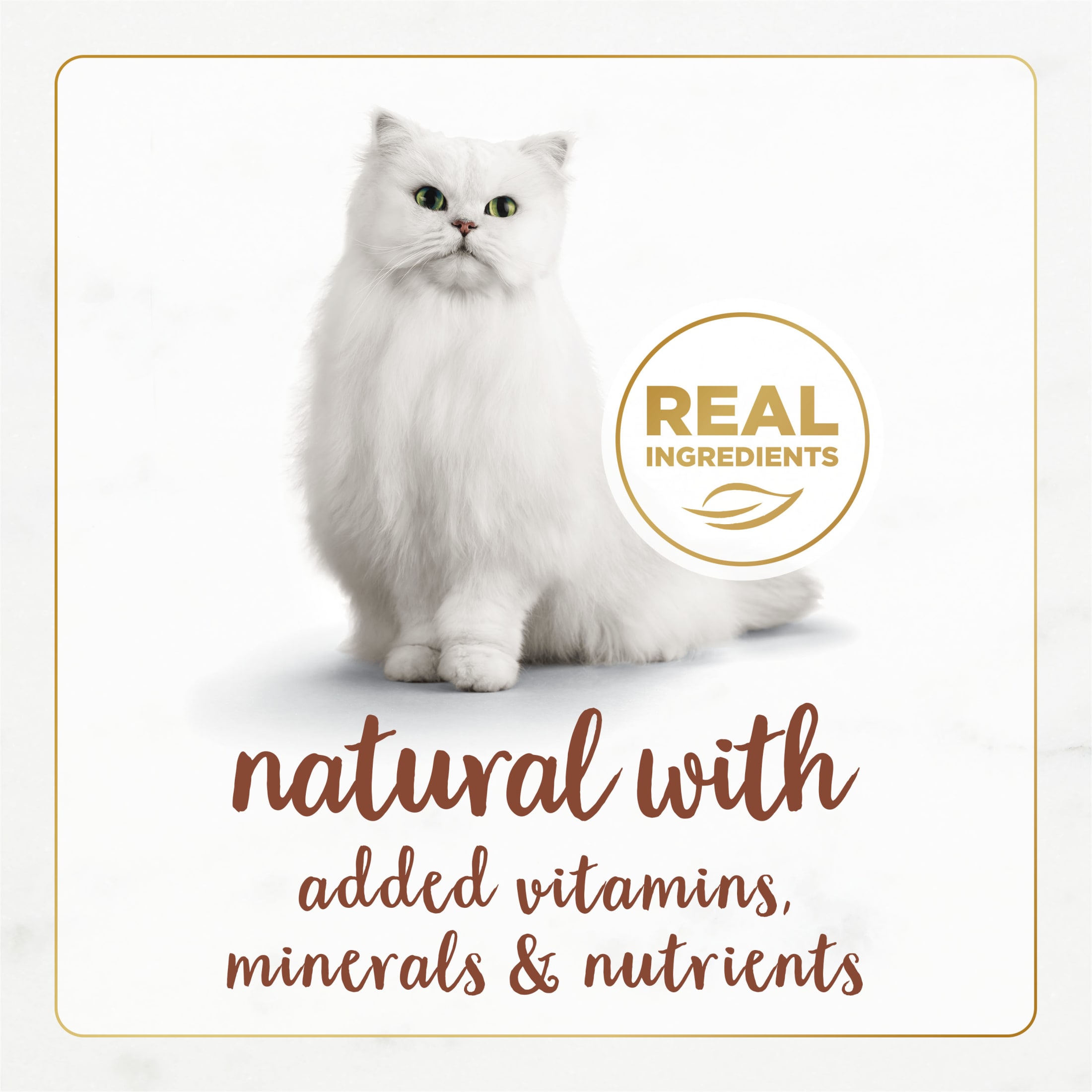 Fancy Feast Gourmet Naturals Poultry & Beef Variety Wet Cat Food, 3 oz, 30-Pack photo 3