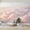 Color 4, variant on Wallpaper Tranquil Beach Sunset Gentle Waves Soft Sand Coastal Peel and Stick Wall Murals 69"H x 96"W Removable PVC Wall Paper Self-Adhesive Wall Paintings Art Decor for Bedroom Living Room
