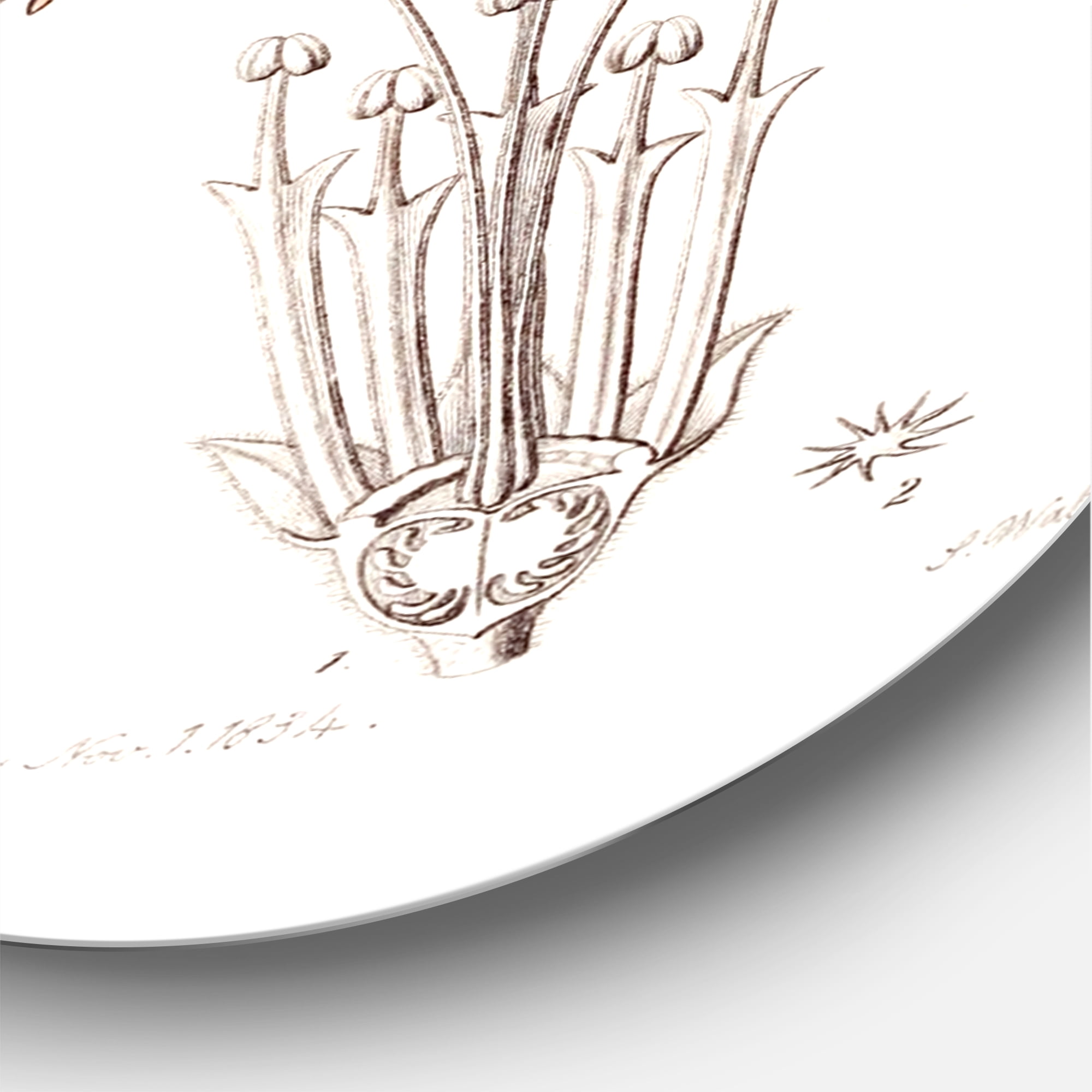 Designart 'Ancient Botanicals X' Traditional Circle Metal Wall Art 36x36 - Disc of 36