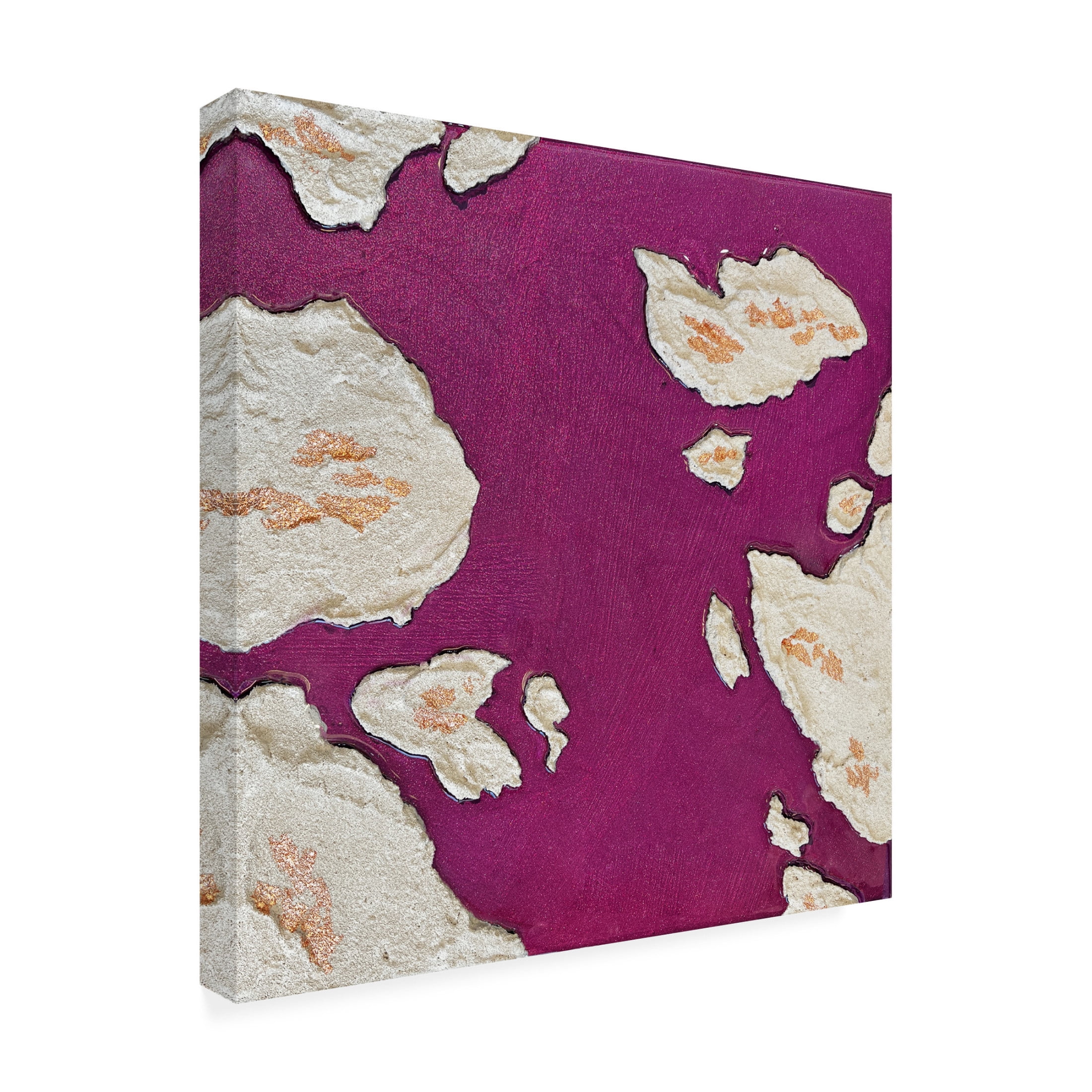 Trademark Fine Art Alyson Storms  Aubergine Islands Canvas Wall Art