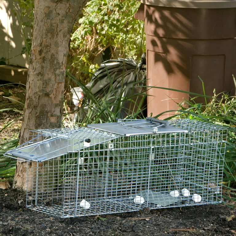 Havahart 1-Door Easy Set Live Animal Cage Trap, Extra Small