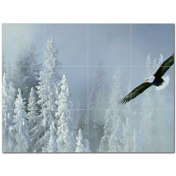 Bird Picture Ceramic Tile Mural Kitchen Backsplash Bathroom Shower 404138-M43