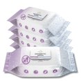 thumbnail image 1 of Toallitas antibacterianas para cuerpo y manos Nurture XL sin alcohol, 1 of 8