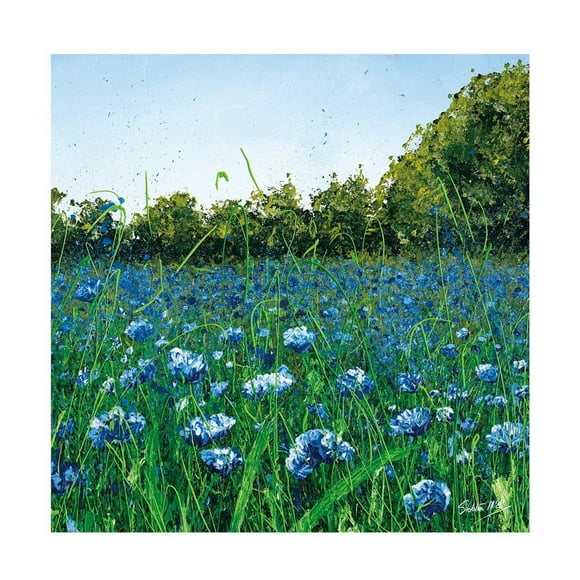 Siobhan McEvoy Cornflower Meadow Paper Print