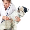 thumbnail image 2 of Dog Eye Mask Nylon Adjustable Buckle Shading Dog Anxiety Mask Dog Anxiety Muzzle, 2 of 9