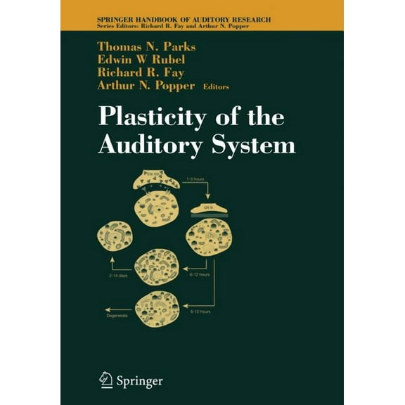 Springer Handbook of Auditory Research Plasticity of the Auditory System, Book 23, (Paperback)