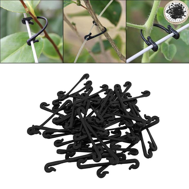 200 Clips de Fijación de Pared para Plantas Trepadoras DYNWAVEMX Clips de sujeción Vines
