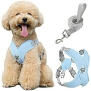 Pawaboo Dog Harness with Leash Set, X-Frame No Pull Pet Harness, Adjustable Choke Free Dog Vest Harness for Small Medium Dogs & Puppies, Breathable Puppy Vest with Leash for Walking Outing (M, Blue)