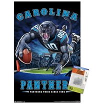 NFL Carolina Panthers - End Zone 17 Wall Poster with Push Pins, 14.725" x 22.375"