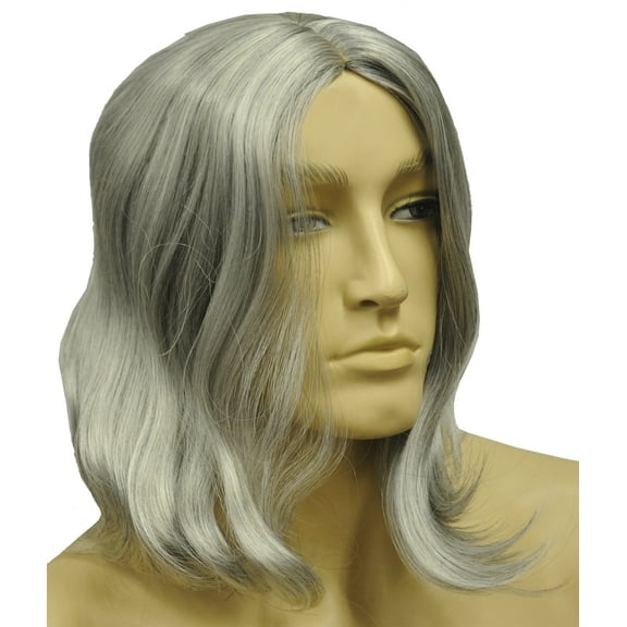 Morris Costumes LW221MBN Deluxe Biblical Wig for Men