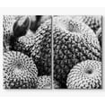 thumbnail image 3 of PixonSign Canvas Print Wall Art Set Powder Puff Cacti Botanical Wilderness Photography Modern Art Contemporary Portrait Relax/Calm Dark Black and White for Living Room, Bedroom, Office - 16"x24"x2, 3 of 5