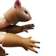 thumbnail image 1 of Juguetes De Marionetas De Mano Para Dedo, Marionetas De Dedo Lindas Y Novedosas, Juego Interactivo, Mini Marionetas De Dedo De Animales Para Niños, 1 of 6