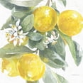 thumbnail image 3 of Grove, Beth 20x20 Black Modern Framed Museum Art Print Titled - Citrus Charm Lemons I, 3 of 5