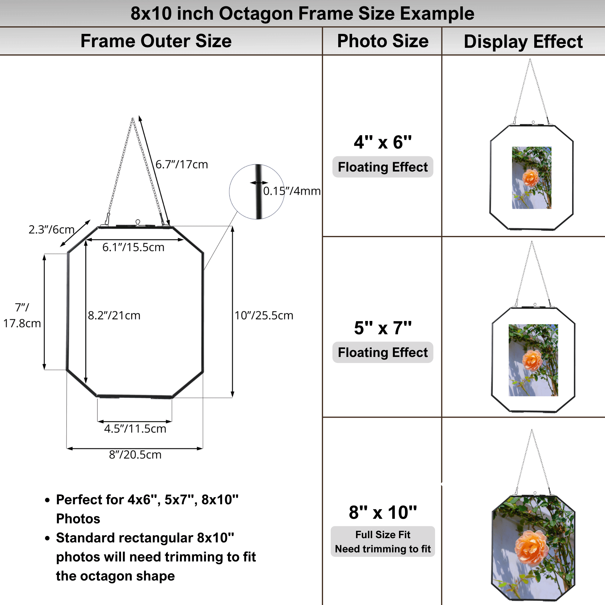NCYP 8x10 inches Octagon Double Glass Floating Frame for Pressed Dried Flowers, Photo, Picture, Poster - Wall Hanging Herbarium, Home Decor, Black (Glass Frame Only)