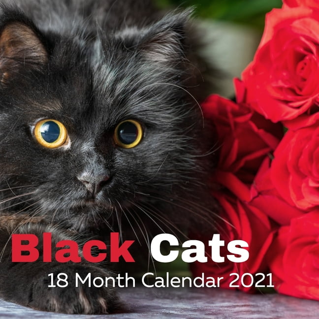 Black Cats 18 month calendar 2021 Black Cats Calendar 2021, 18 Month