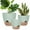 Green, variant on West Bay 12" 10" 9" Large Self Watering Plant Pots, 3 Pack Flower Pots Planters with Multi Mesh Drainage Holes for Indoor Outdoor Garden Plants and Flowers (White)