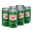 thumbnail image 3 of Canada Dry® Ginger Ale 222 mL Mini-Cans, 6 Pack, 3 of 15