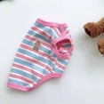 thumbnail image 2 of Adorable Pet Clothes for Cats & Small Dogs - Charming Spring & Autumn Wear, 2 of 2