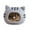 Grey, variant on Hearth & Gear Winter Warm Cat Semi Enclosed Bed For Indoor Cats And Small Dogs Cozy Kitty With Cushion Nature Camera Motion Activated for Pet Pet Food Ready to Use My Texas Lady Pet Natural Sparrow
