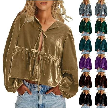 Jinhomg Flowy Puff Sleeve Velvet Tops for Women 2025 Trendy V Neck Lace Up Front Top Casual Comfy Long Sleeve Blouse Babydoll Tunic Tops 90% off Clearance Sale Purple L