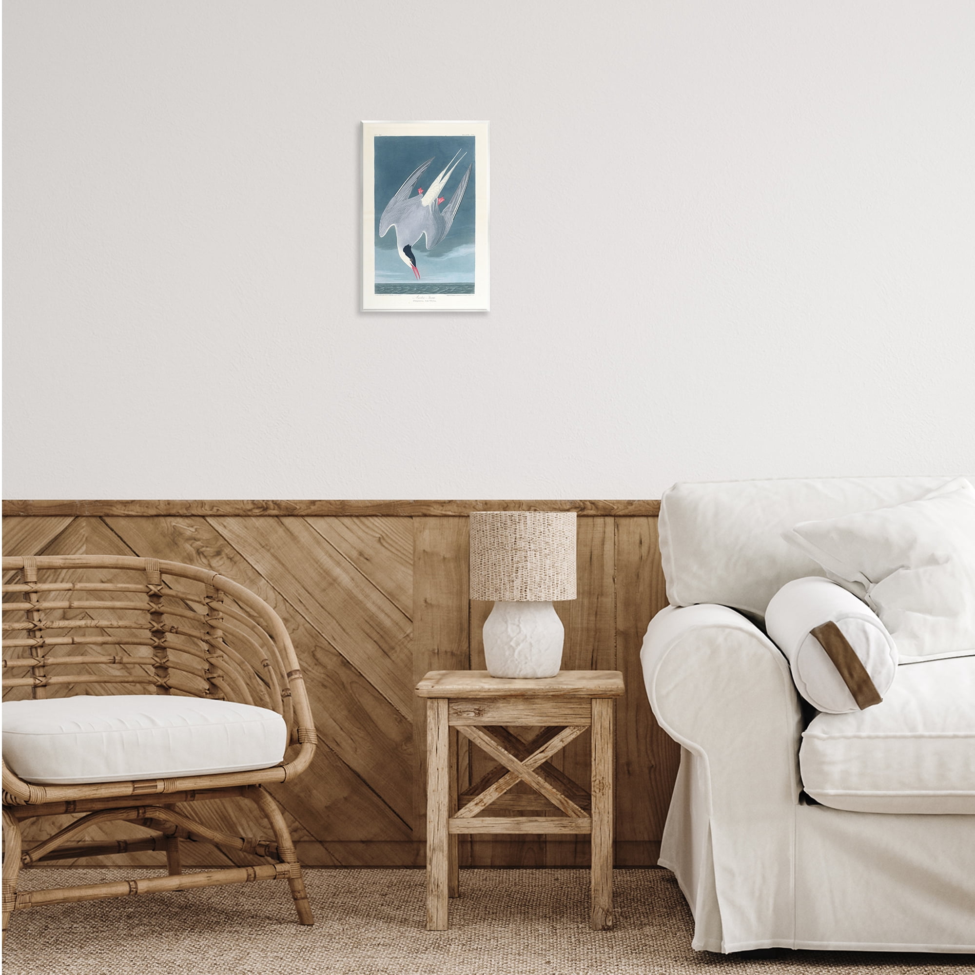 Stupell Industries Classic Arctic Tern Bird Animals Painting Unframed Art Print Wall Art, 10 x 15
