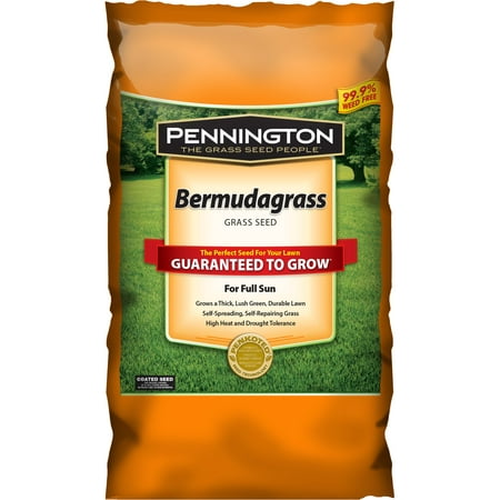 Pennington Bermudagrass, Grass Seed For Full Sun, 5 (Best Grass Seed For Large Areas)