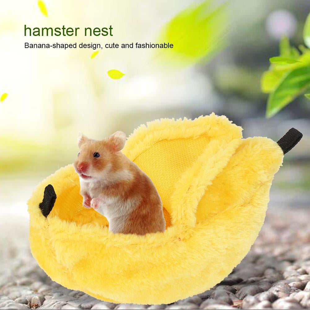 Featured image of post Hamster Vs Banana Bananas are quite sticky and sticky food can cause allot of damage to the cheek pouches