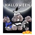 thumbnail image 3 of Zhuge Ropa para perros, camisa cálida y gruesa, suéter de invierno para cachorros, conjunto de suéter de punto navideño para mascotas (A05, L), 3 of 3