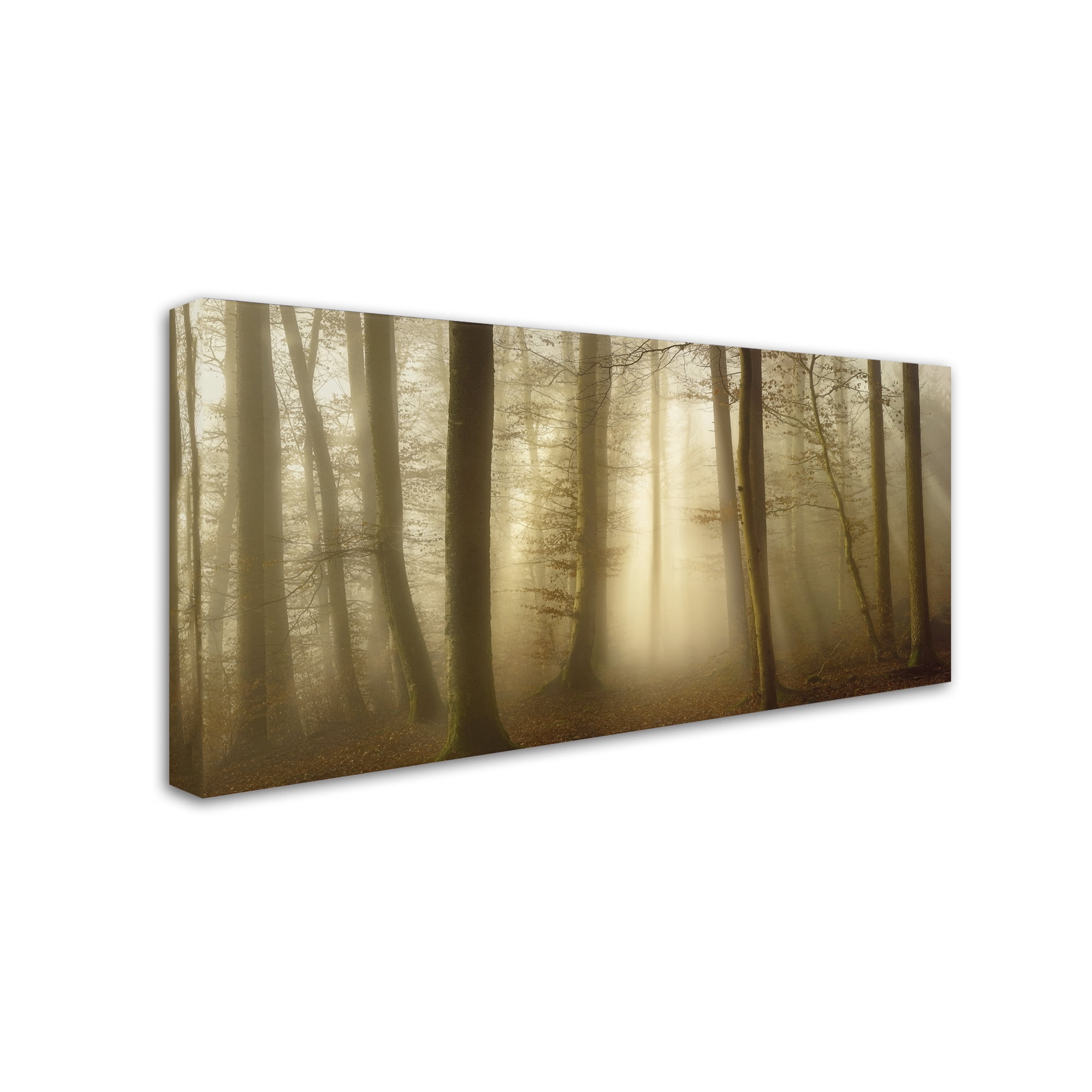 Trademark Fine Art 'Into The Trees' Canvas Art by Norbert Maier