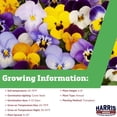 thumbnail image 2 of Harris Seeds Frizzle Sizzle Mix F1 Pansy, Frilled Flower Garden Variety for Containers and Spring Beds, 250 Count, 2 of 7