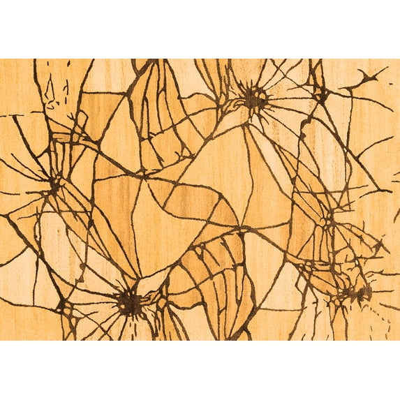 Ahgly Company Indoor Rectangle Abstract Orange Contemporary Area Rugs, 4' x 6'