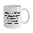 thumbnail image 2 of Inappropriate Assistant principal Gifts, This is, Birthday Unique Gifts, 11oz Mug For Assistant principal from Coworkers, 2 of 6