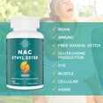 thumbnail image 4 of N-Acetyl Cysteine Ethyl Ester 100mg - More Absorption Than 1000mg NAC - with Glycine 600mg - Benefit Glutathione - Good for Immune System & Antioxidant for Adults, NACET ( 60 Capsules - 2 Pack), 4 of 5