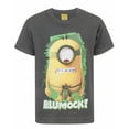 thumbnail image 1 of Minions T-Shirt Gris à Manches Courtes pour Garçons, 1 of 4