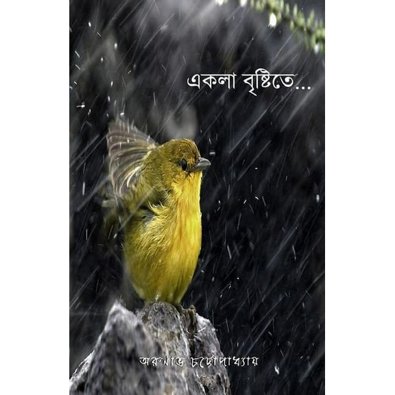 Ekla Brishti Te (Paperback)