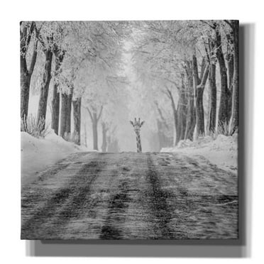 Epic Graffiti 'Surprise' by Dariusz Klimczak, Canvas Wall Art, 26"x26"