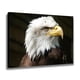 thumbnail image 2 of Póster de lienzo de águila americana de raptor, decoración de dormitorio, paisaje deportivo, decoración de oficina, regalo, estilo marco, 20 x 30 cm, 2 of 8
