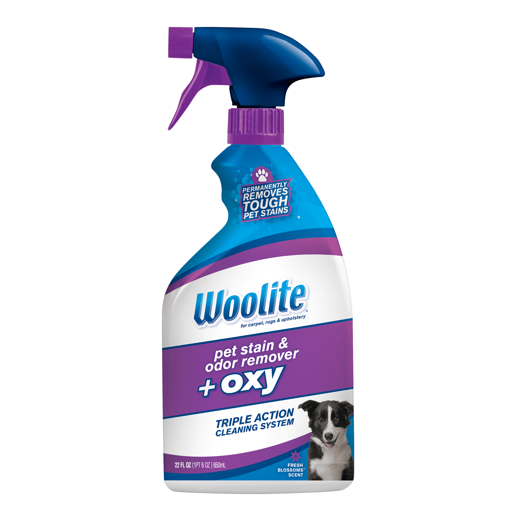 Woolite Fresh Blossoms Scent Pet Stain & Odor Remover + Oxy, 22 fl oz