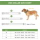 thumbnail image 2 of Tactical Dog Collar with Control Handle Military Adjustable Collar,Nylon, Metal Buckle, Padded for Large Dogs Trainning Outdoors(Army Green-M), 2 of 4