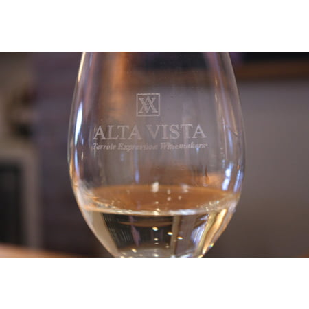 Canvas Print Wine Glass Wine Tasting Winery White Wine Wine Stretched Canvas 10 x (Best Tasting White Wine)