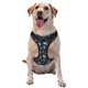 thumbnail image 1 of Balery Space Arnés para Perros Grandes Antitirones, Arnés con Correa para Gato, Arnés Tipo Chaleco para Perros Pequeños-X-Large, 1 of 6