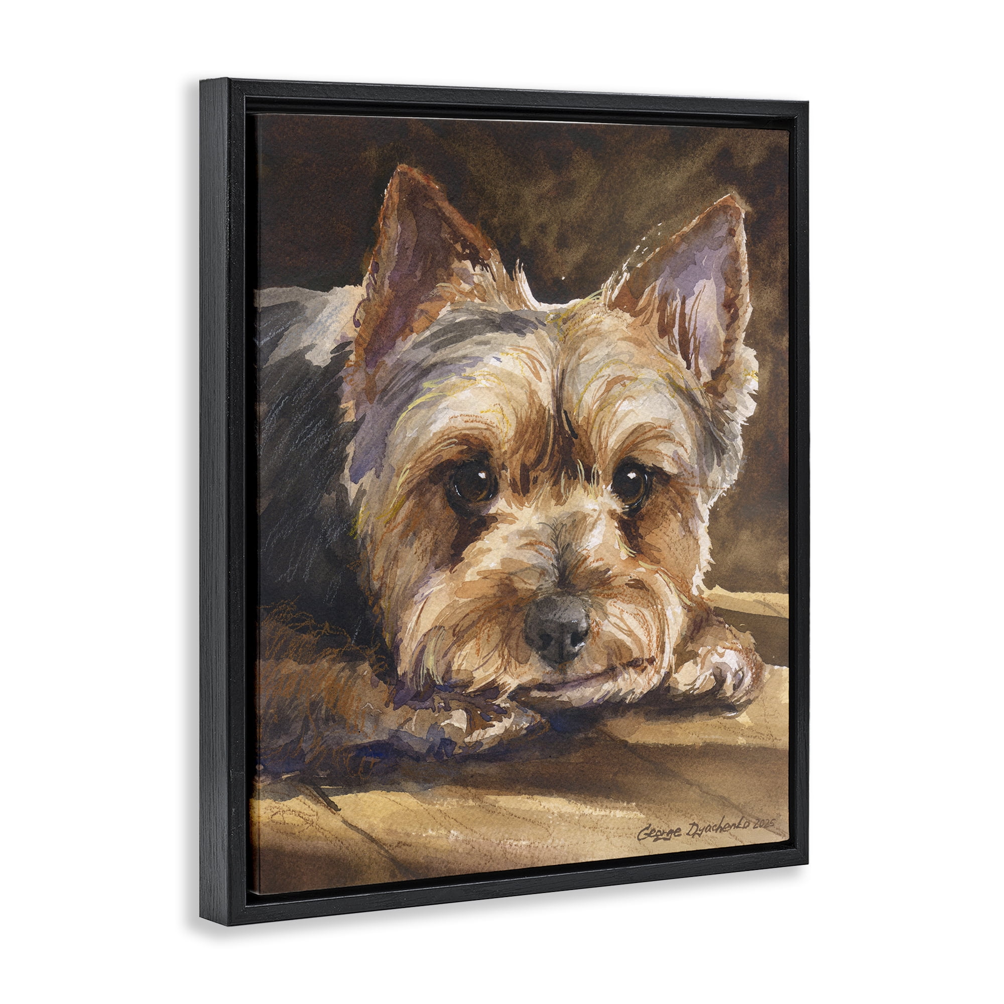 Stupell Industries Yorkshire Terrier Portrait Black Framed Floater Canvas Wall Art, design by George Dyachenko
