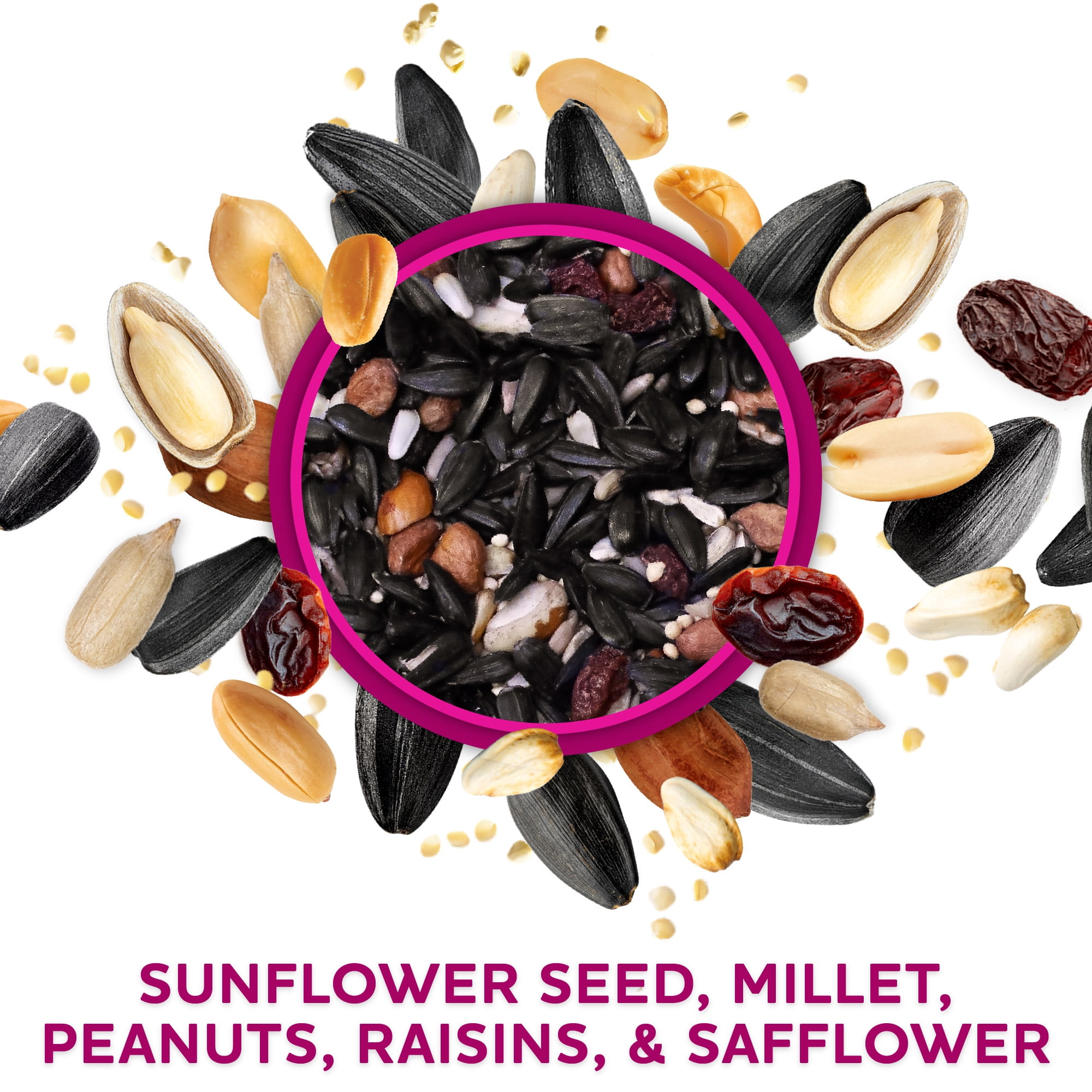 Vibrant Life Nut 'N Fruit Wild Bird Seed, 20 lb Bag