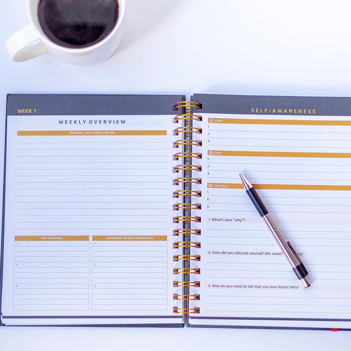 The Entrepreneur Championship Planner, Undated entrepreneur planner, Business & Lifestyle Planner 2024, Monthly & Weekly Diary, Notebook for Makers and Entrepreneurs, Business Planner