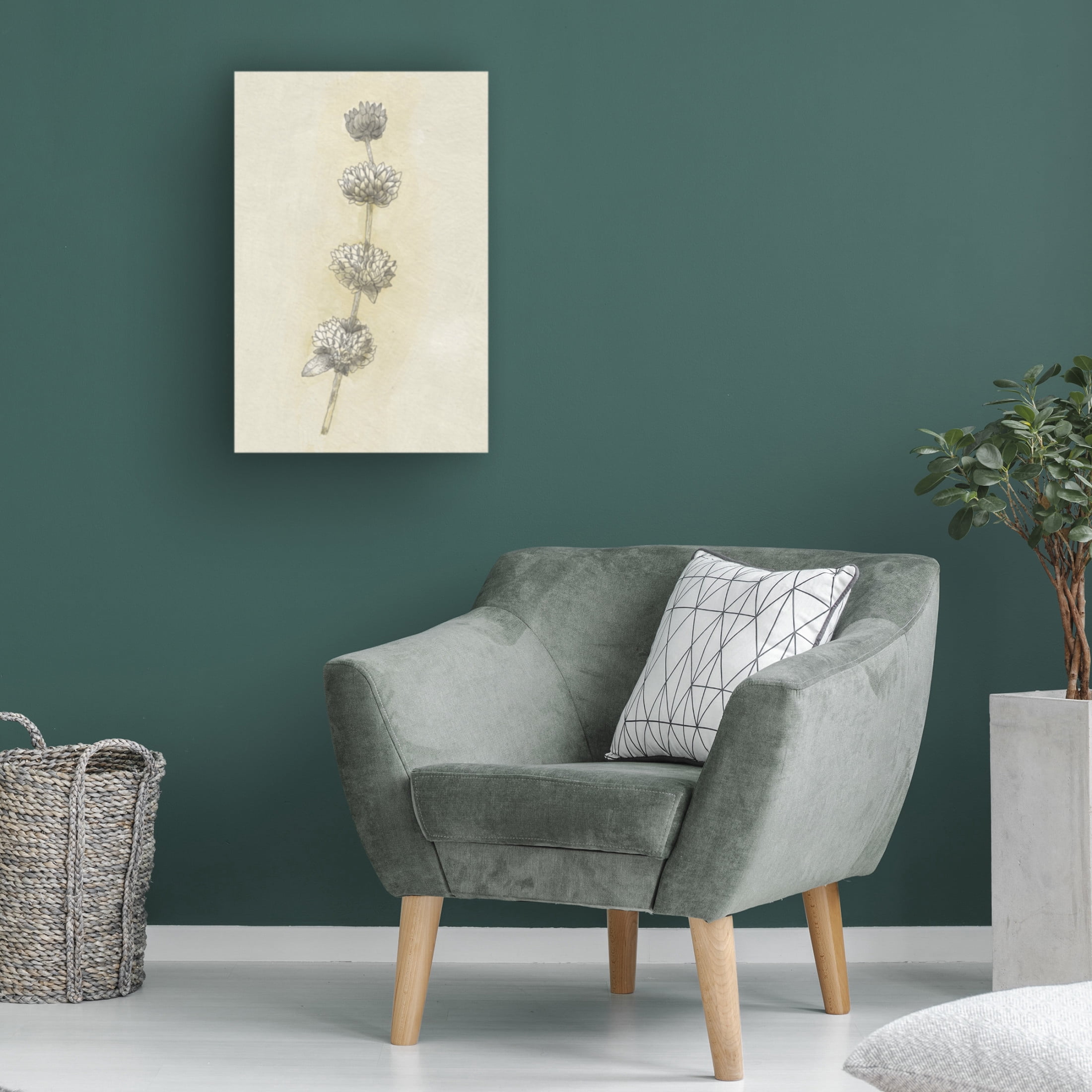 Trademark Fine Art Katie O'Shea Seed Pods Study I Canvas Wall Art
