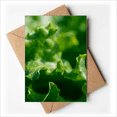 thumbnail image 1 of Tender Nature Photography Greeting Cards You are Invited Invitations, 1 of 4