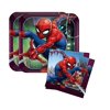 Spiderman Birthday Party Bundle 9" Plates (16) Lunch Napkins (16)