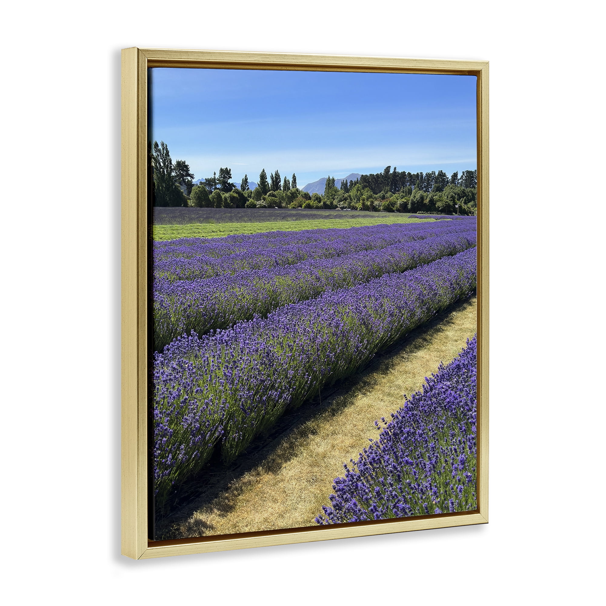 Stupell Industries Lavender Path Landscape Landscape Photography Gold Floater Framed Art Print Wall Art, 17 x 21